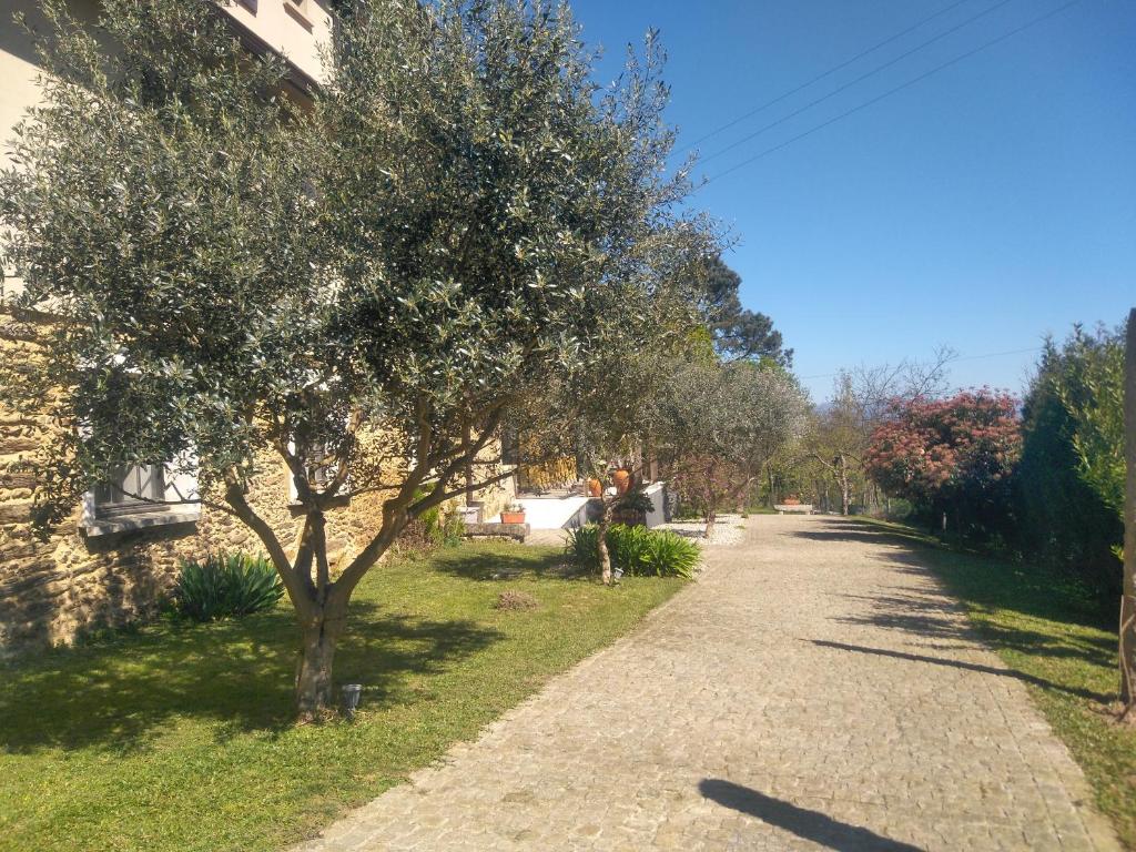 Quinta do Senhor room 6